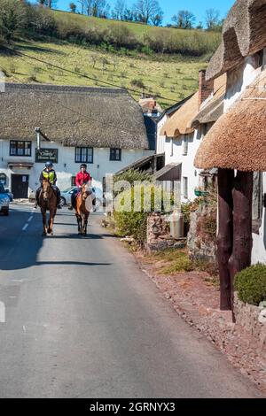 Two horses with riders walking up Deane Road in the picturesque English village of Stokeinteighhead, South Devon England