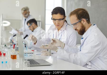 Team of scientists analyzing samples while working in a modern research laboratory. Stock Photo