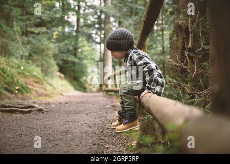 Small kid in a plaid shirt and gray hat in the forest. Childhood with nature loving concept Stock Photo