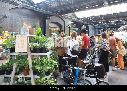 Special plant sale as part of West Handyside Canopy Market, at Kings Cross, north London, UK Stock Photo