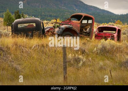Ranchland Abandoned Trucks. Old abandoned trucks in the Pacific Northwest. Stock Photo