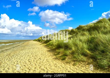 Prestatyn beach grass dunes, in North Wales Stock Photo