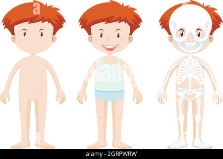 Little boy and skeleton structor Stock Vector