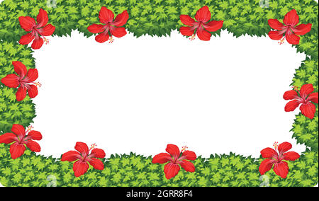 A hibiscus flower frame Stock Vector