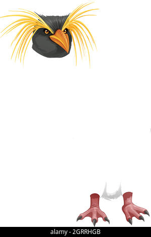 Rockhopper penguin Stock Vector