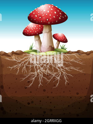 Red mushroom growing from the ground Stock Vector