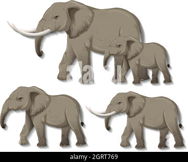 Set of isolated elephants on white background Stock Vector