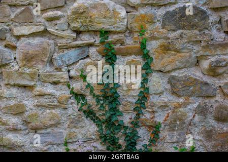 stone wall texture with wood in the foreground Stock Photo