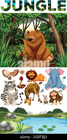 Wild animals living in the jungle Stock Vector