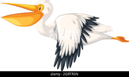 A pelican flying on white background illustration Stock Vector Image ...