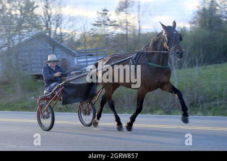 AMISH HORSE AND CARRIAGE IN NEW YORK'S SOUTHERN TIER Stock Photo