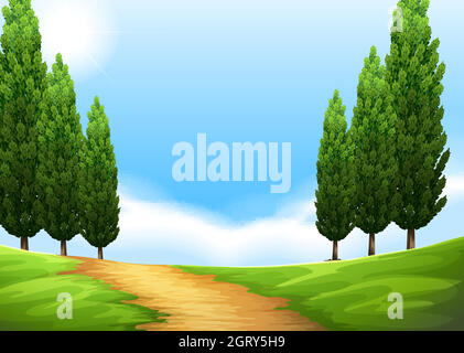 Nature scene with trail and pine tree Stock Vector