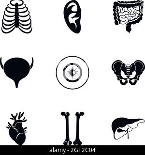 Organ of the body icons set, simple style Stock Vector Image & Art - Alamy
