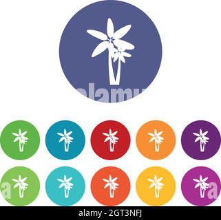 Two palm trees set icons Stock Vector Image & Art - Alamy