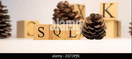 SQL was created from wooden cubes. pine cone concept. concept. White background and close-up. Stock Photo