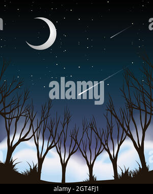 Forest at night scene illustration Stock Vector Image & Art - Alamy