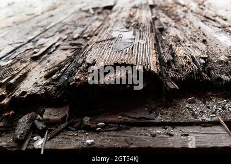 Old weathered wood deck background pattern. Stock Photo