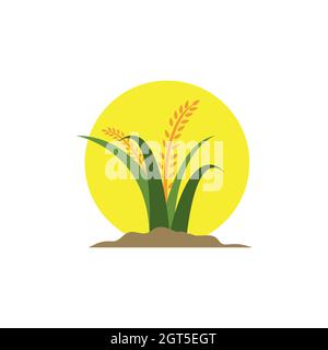 Rice logo template vector icon design Stock Photo