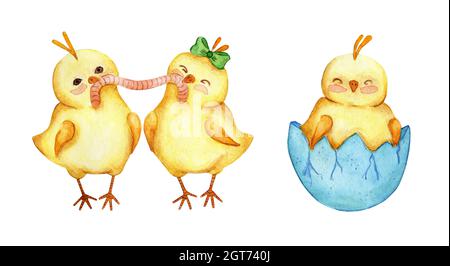 Watercolor illustration set of little cute yellow chickens. Chickens eat a worm, a chick hatched from an egg. Easter, religion, tradition. Isolated on Stock Photo