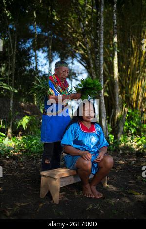 Nueva Loja, Sucumbios / Ecuador - September 2 2020: Elderly indigenous shaman of Cofan nationality performing healing ritual to a Cofan woman in the A Stock Photo