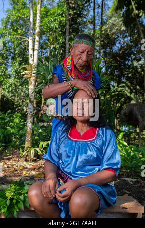 Nueva Loja, Sucumbios / Ecuador - September 2 2020: Elderly indigenous shaman of Cofan nationality performing healing ritual to a Cofan woman in the A Stock Photo