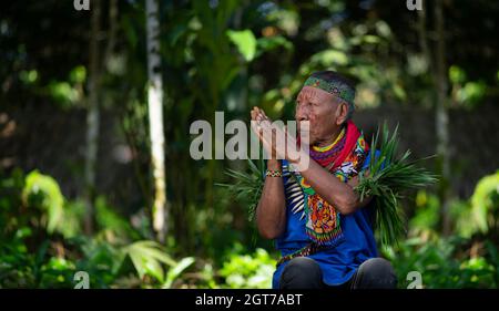Nueva Loja, Sucumbios / Ecuador - September 2 2020: Elderly indigenous shaman of Cofan nationality praying with his hands joined  in the Amazon rainfo Stock Photo