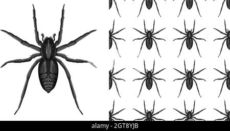 Spider insects isolated on white background and seamless Stock Vector