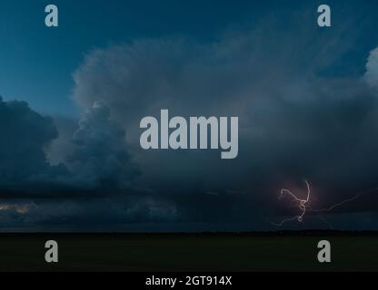 Thunderstorm with pink lightning discharge over the Dutch plains at dusk. Location: northwest of Gouda, The Netherlands. Stock Photo