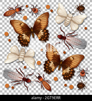 Set of different insects on transparent background Stock Vector