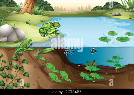 orphan pond scene clipart