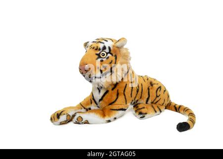 a tiger lying on the ground with white background Stock Photo
