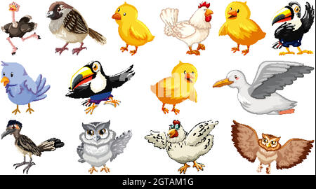 Set of different birds cartoon style isolated on white background Stock Vector