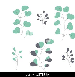 Eucalyptus branches and leaves are isolated on a white background. Flower grass green garland. Vector illustration Stock Vector