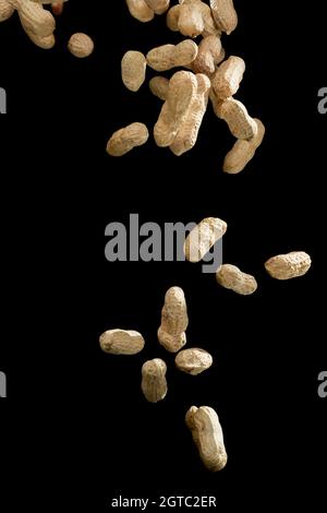 Realistic freeze motion of flying peanuts on black background. Stock Photo