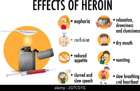 Effects Of Heroin Information Infographic Stock Vector Image & Art - Alamy