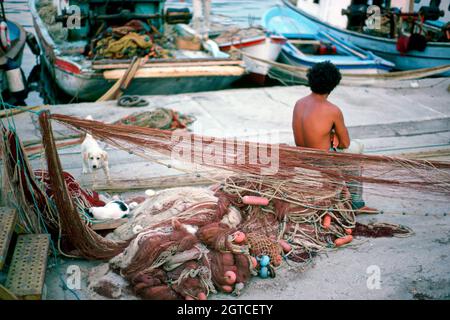 Sept 1986 - Kusadasi, Turkey - Fisherman resting in front of nets, dog confronting sleeping cat, on the harbourside, Kusadasi. Stock Photo