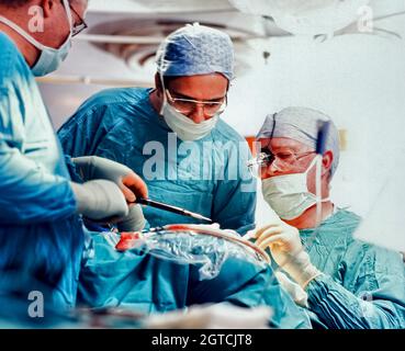Surgeons working on the implantation of a cochlear implant into the skull of a patient. Stock Photo