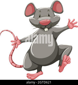 Gray rat Stock Vector