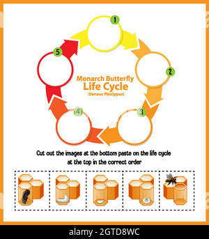 Diagram showing life cycle of Honey Bee Stock Vector