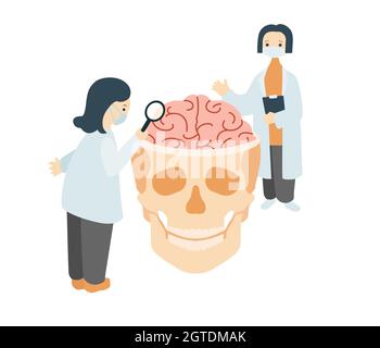 Scientists studying human brain. Doctors in white coats carefully examining skull with cerebral convolutions Stock Vector
