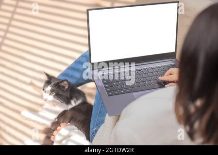 Woman using mockup laptop computer with blank white screen. woman freelancer working at computer from home. Closeup of woman holding laptop on his kne Stock Photo