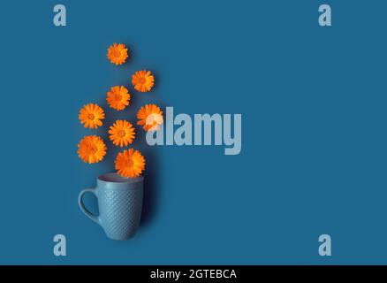 Beautiful vibrant orange marigold flowers poured out of blue cup on blue background. Herbal tea concept. Colorful abstract background. Creative trendy flat lay with space for text. Stock Photo