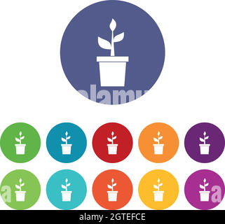 Plant in clay pot set icons Stock Vector