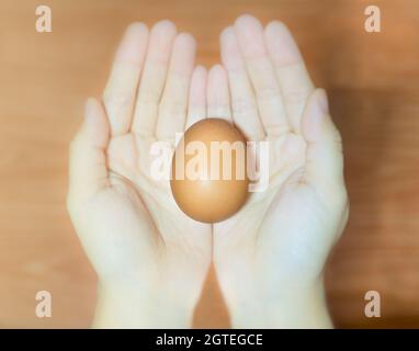 The Egg Are In The Woman's Hand Blurry.. In The Warmth Of Light