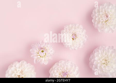 Trendy abstract image of white flowers on trendy lilac background in flat lay style for decoration design. Romantic holiday concept. Beautiful pink gift card with copy space. Stock Photo