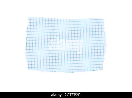 Blue grid scale vector paper sheet isolated on white background Stock Vector