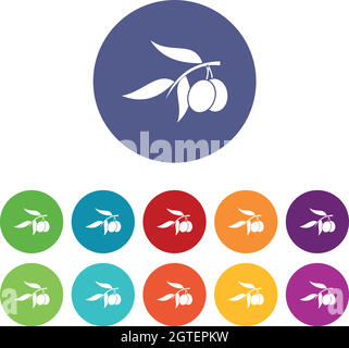 Olive tree branch with two olives set icons Stock Vector