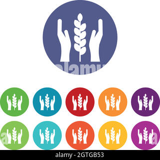Hands and ear of wheat icons set vector color Stock Vector Image & Art ...