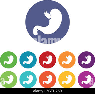 Stomach set icons Stock Vector