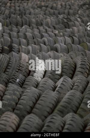 Dumped tires far out in the woods. Stock Photo